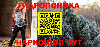 ГАЛЛЮЦИНОГЕННЫЕ ГРИБЫ Северобайкальск