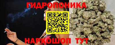прущие грибы Свободный