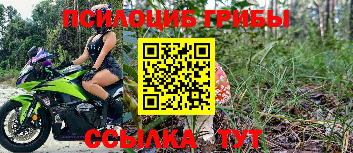 Галлюциногенные грибы GOLDEN TEACHER Нижнекамск