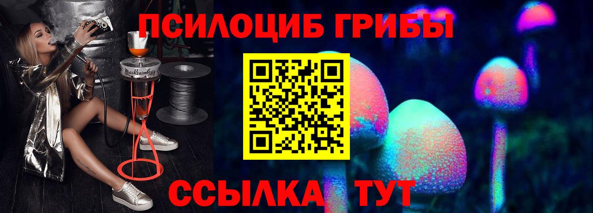 Псилоцибиновые грибы ЛСД  магазин  наркотиков  Псилоцибиновые грибы Psilocybine cubensis  Нижнекамск  Вход с VPN 